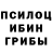 Галлюциногенные грибы GOLDEN TEACHER ARTHUR SAFF