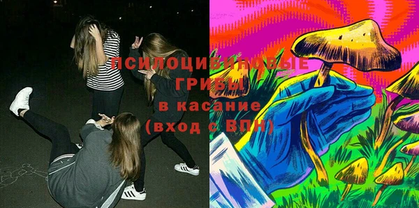 тгк Абинск
