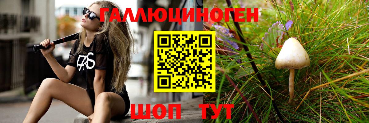 цена   Вход с VPN  Орск  Псилоцибиновые грибы Psilocybe 