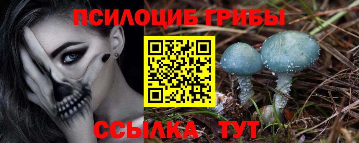 Галлюциногенные грибы GOLDEN TEACHER Орск
